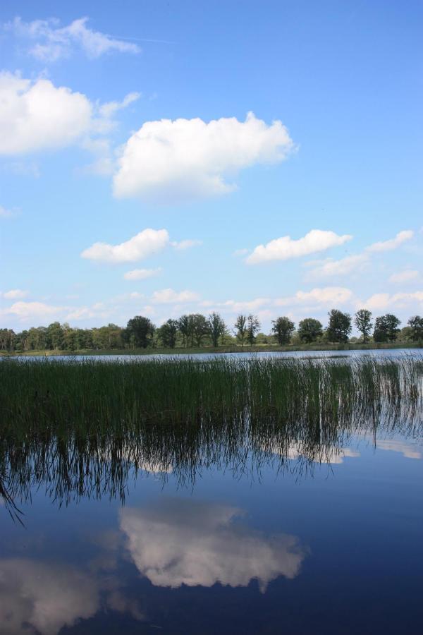 אויסטרוויק Vakantiehuis Appelvink, Toplocatie In Bosrijke Omgeving מראה חיצוני תמונה