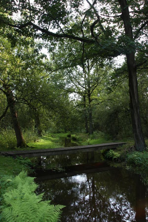 אויסטרוויק Vakantiehuis Appelvink, Toplocatie In Bosrijke Omgeving מראה חיצוני תמונה