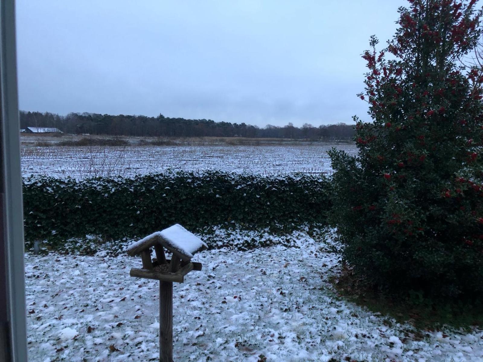 אויסטרוויק Vakantiehuis Appelvink, Toplocatie In Bosrijke Omgeving מראה חיצוני תמונה