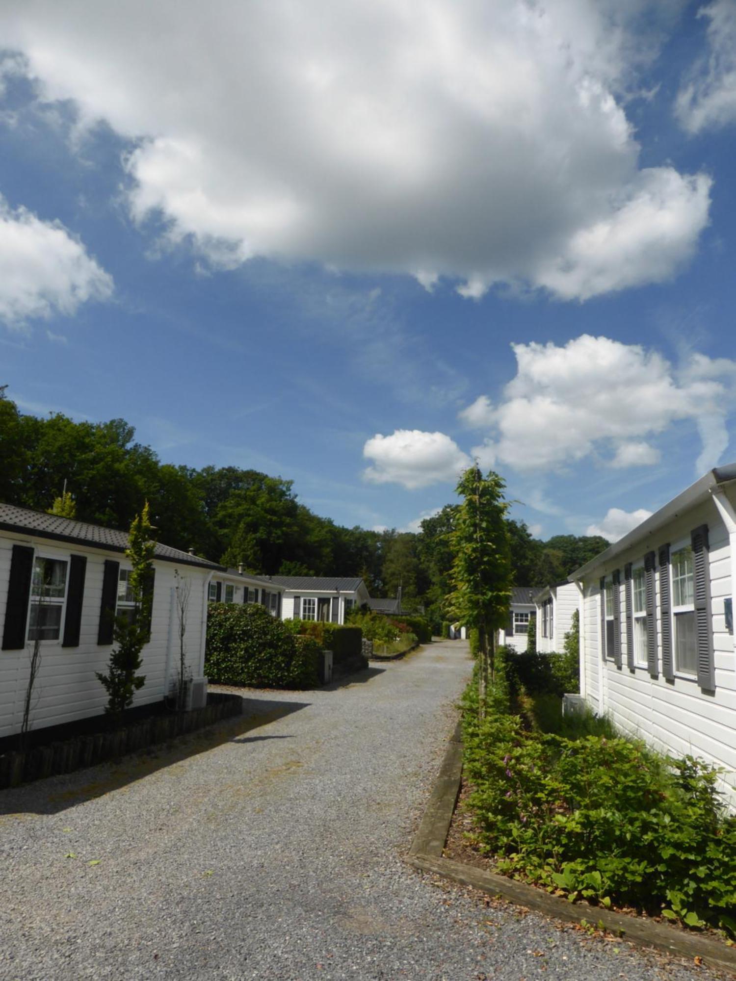 אויסטרוויק Vakantiehuis Appelvink, Toplocatie In Bosrijke Omgeving מראה חיצוני תמונה
